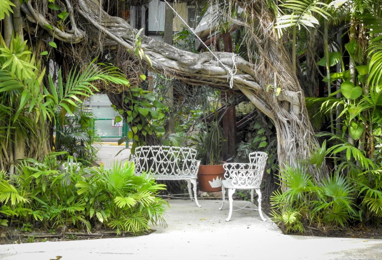 Eco-hotel El Rey del Caribe Cancún Exterior foto